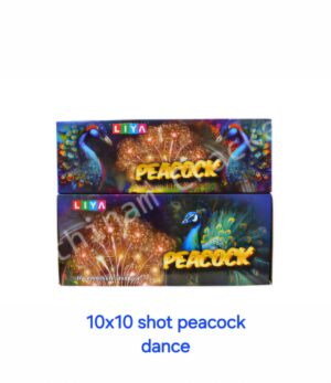 10x10 Shot peacock dance